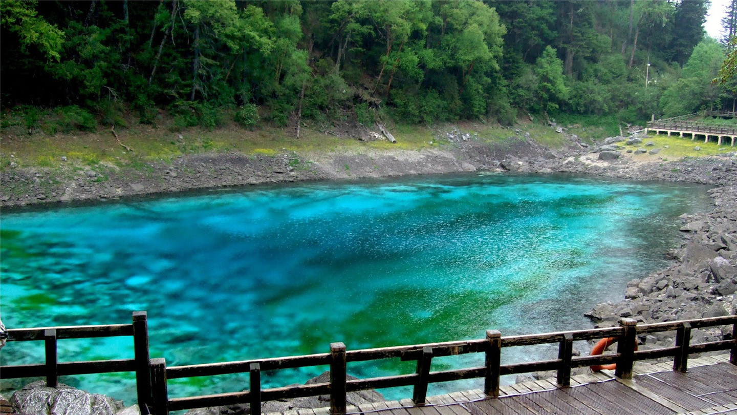 爆笑虫子 海报